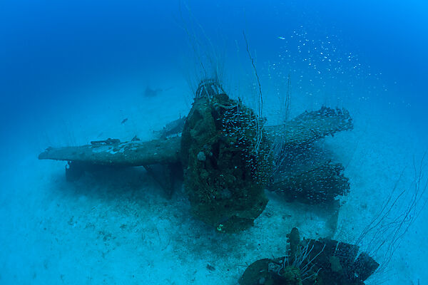 Kampfflugzeug neben der USS Saratoga