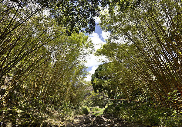 Botanischer Garten Waimea Valley