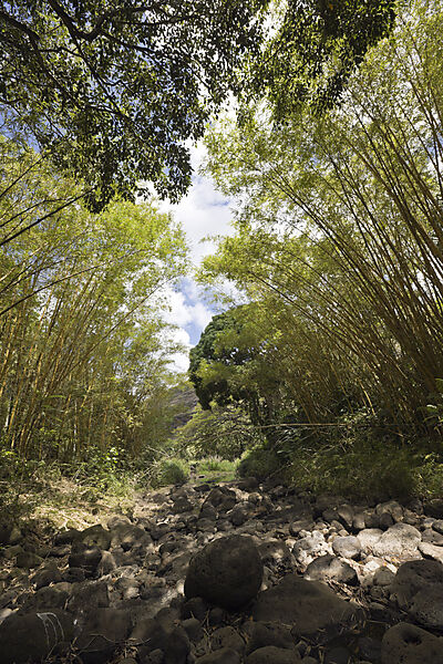 Botanischer Garten Waimea Valley
