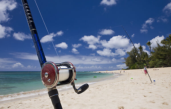 Strand Haleiwa Beach Park