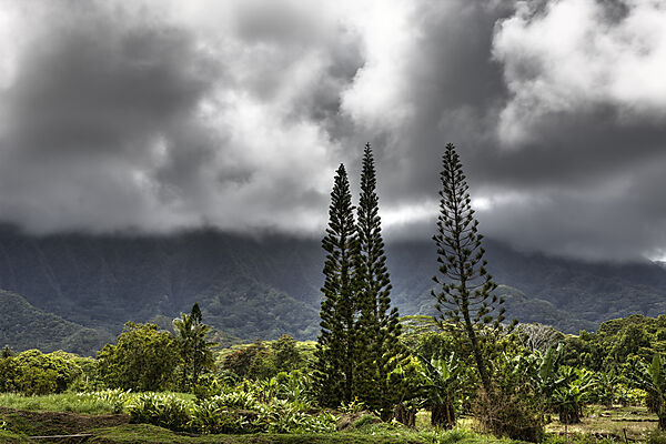 Landschaft der Kualoa Ranch