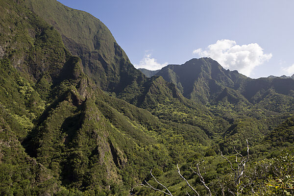 Iao Valley