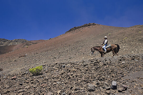 Ausritt im Krater des Haleakala Vulkan