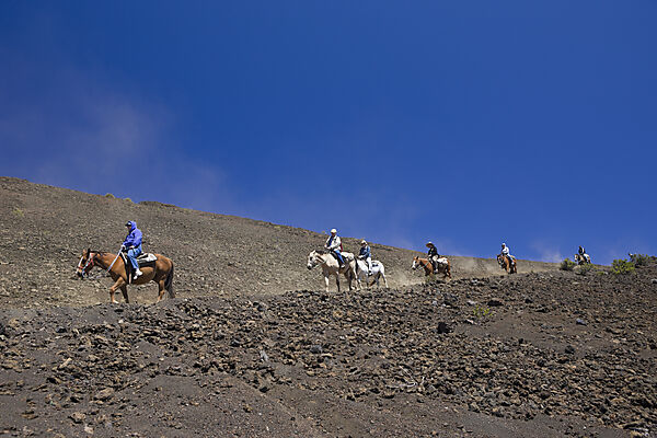 Ausritt im Krater des Haleakala Vulkan