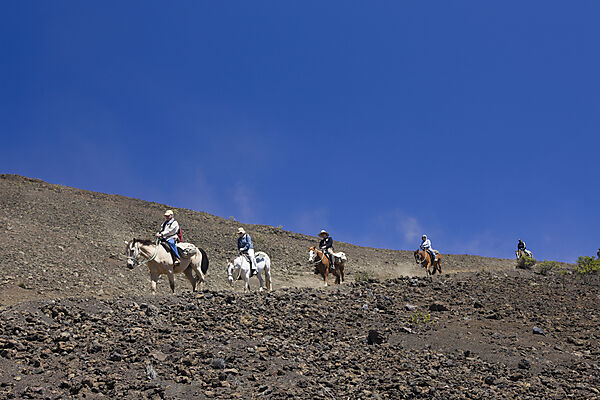 Ausritt im Krater des Haleakala Vulkan