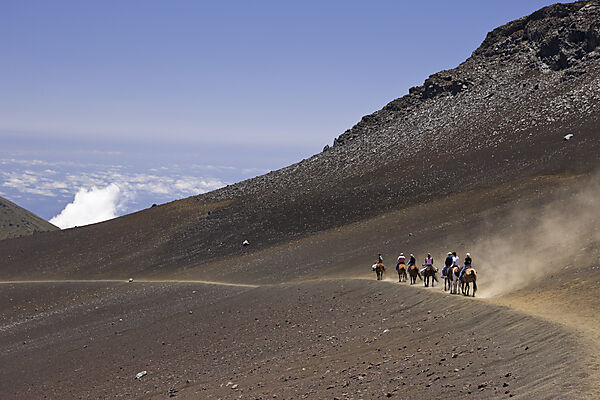 Ausritt im Krater des Haleakala Vulkan