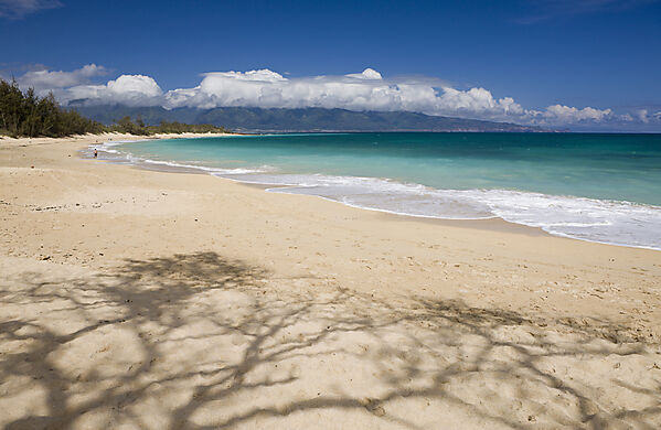 Strand des Kanaha Beach Park
