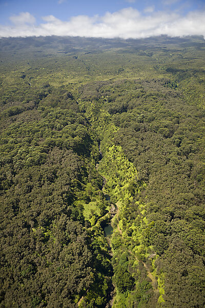 Tal an der Nordkueste von Maui