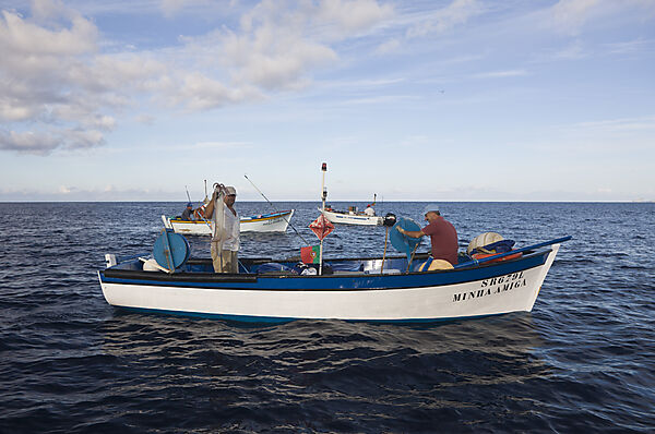 Fisherman hunting Veined Squids