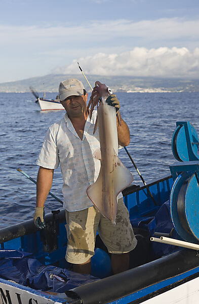 Fisherman hunting Veined Squids