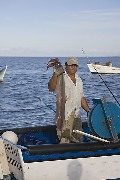 Fisherman hunting Veined Squids
