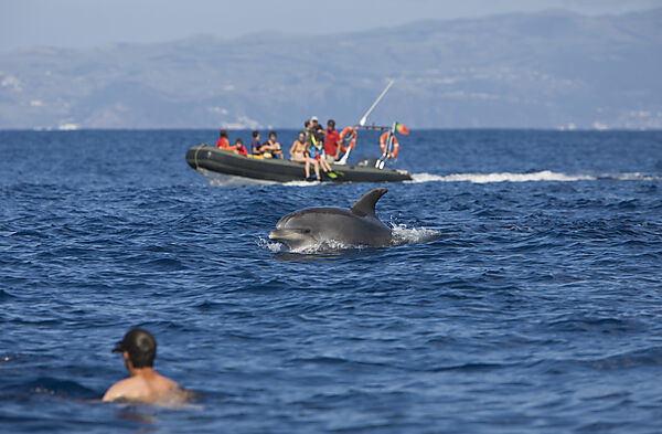 Touristen bei Delfin Ausflug