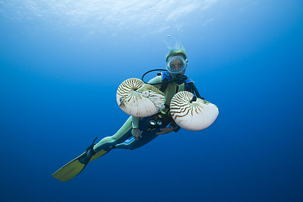 Nautilus and Diver