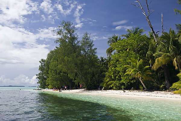 Palmeninsel von Palau