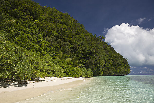 Beach of Palau