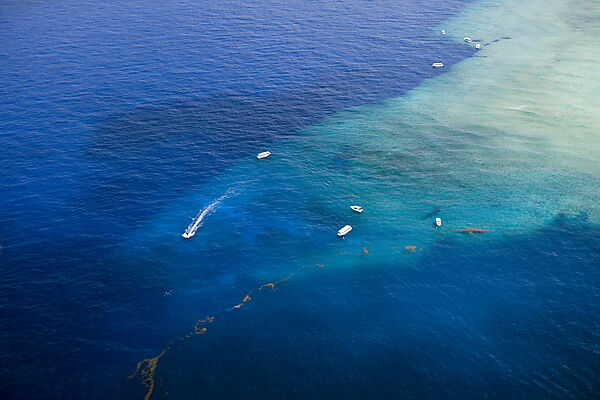 Aerial View of Divespot Blue Corner