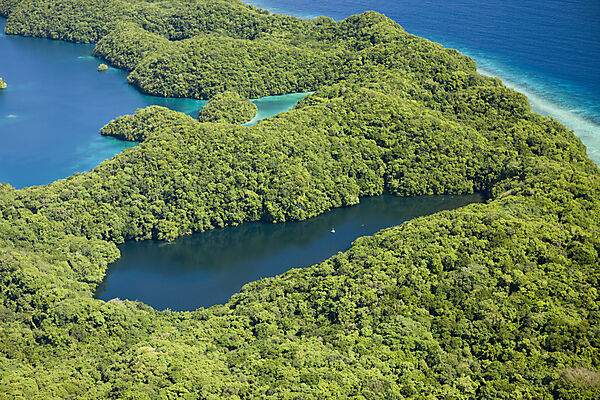 Aerial View of Jellyfish Lake of Palau