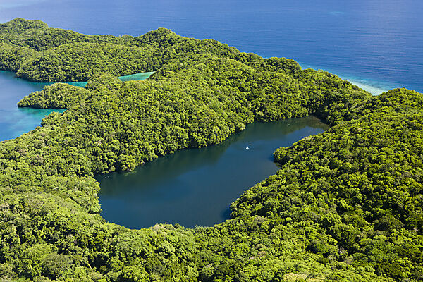 Aerial View of Jellyfish Lake of Palau