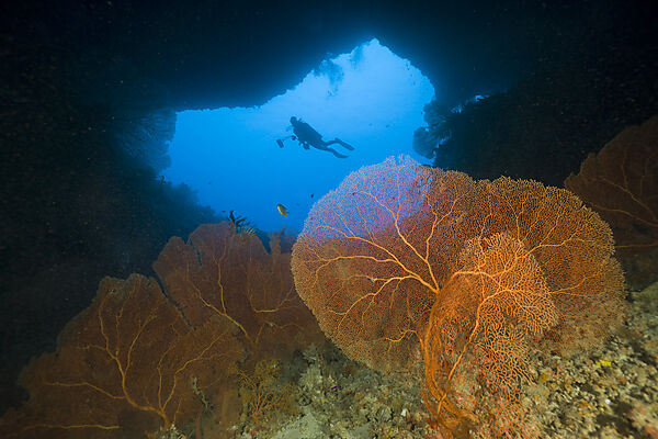 Diver in Siaes Tunnel Cave