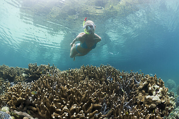 Snorkeling in Rock Islands
