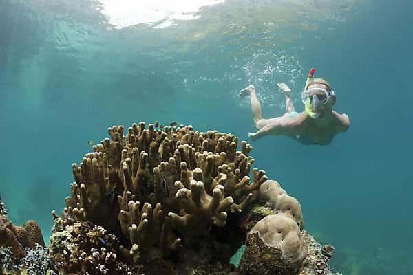 Snorkeling in Rock Islands
