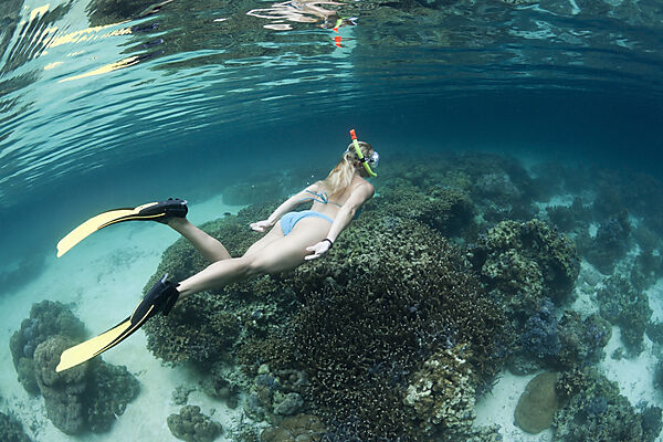 Snorkeling at Risong Bay