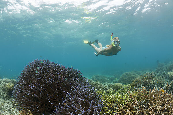 Snorkeling in Palau