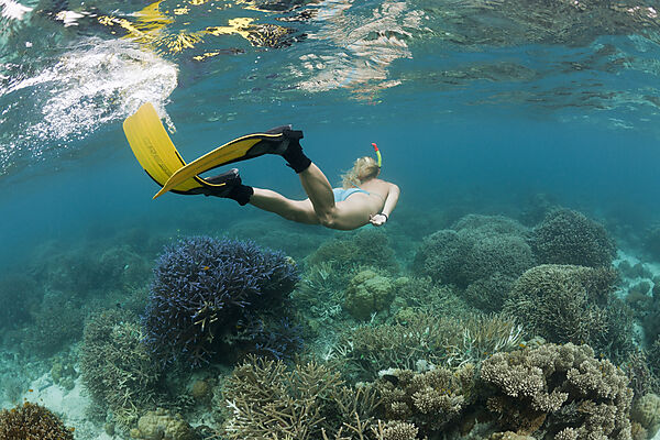 Skin Diving at Palau