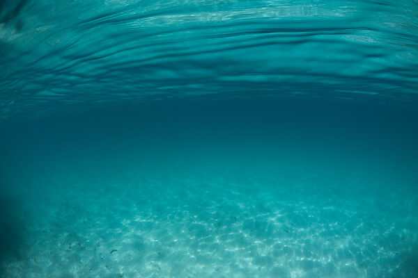 Lagune