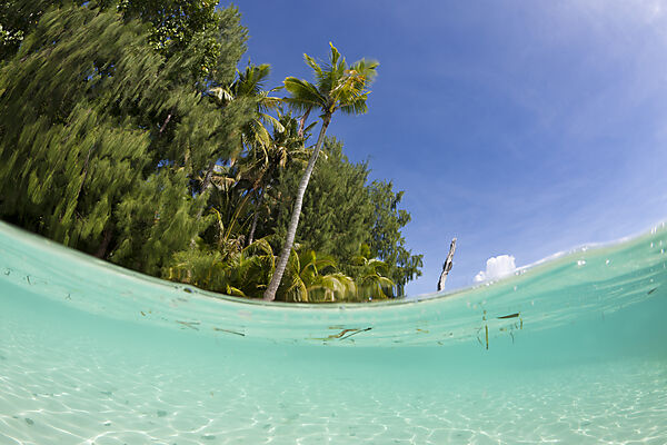 Palmenstrand und Lagune