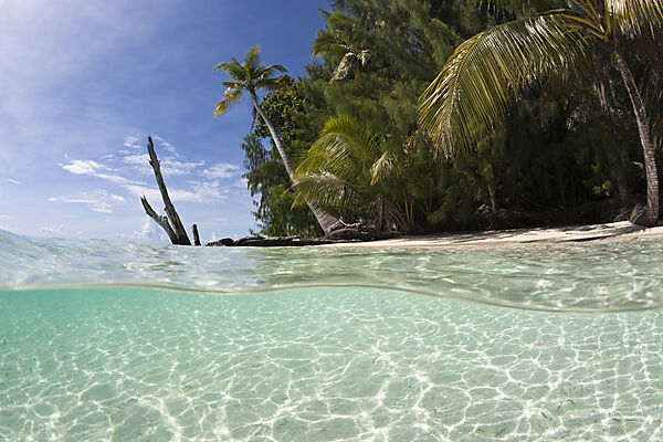 Lagune und Palmenstrand