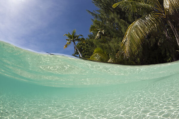 Lagune und Palmenstrand