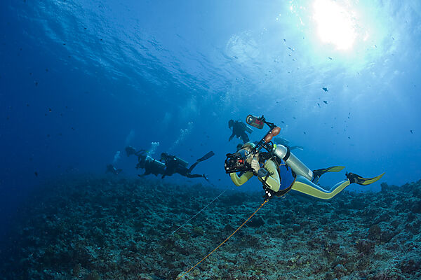 Diver use Reef Hook in Current