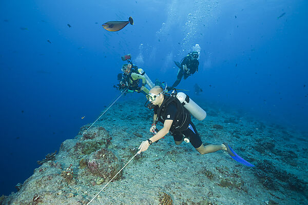 Diver use Reef Hook in Current