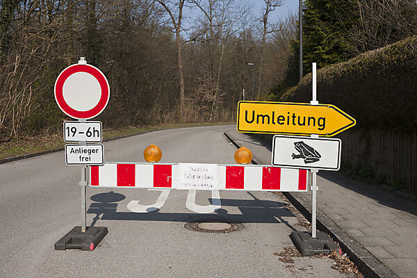 Strassensperre wegen Kroetenwanderung