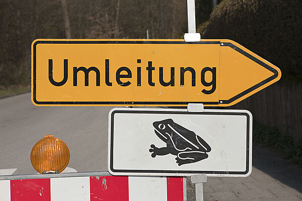 Strassensperre wegen Kroetenwanderung
