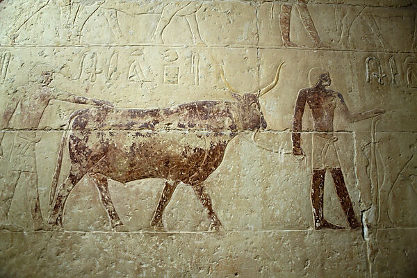 Inschrift an einer Mastaba bei Stufenpyramide Sakkara des Pharao Djoser