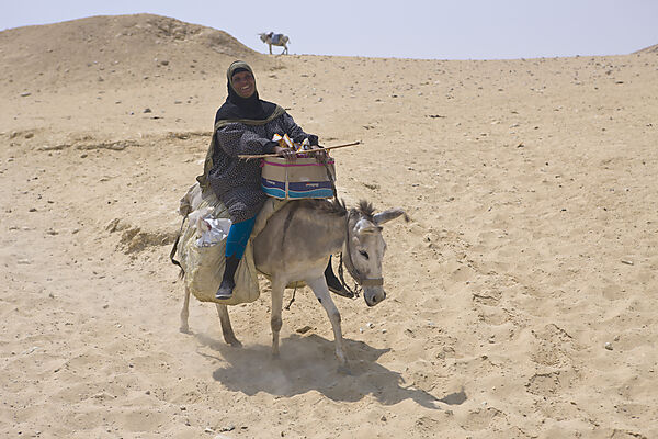 Farmwoman on Donkey
