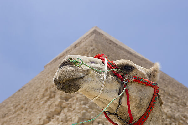 Chephren Pyramide