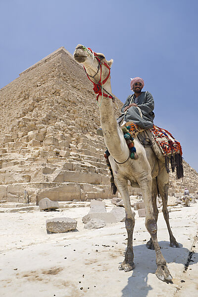 Kameltreiber vor Chephren Pyramide