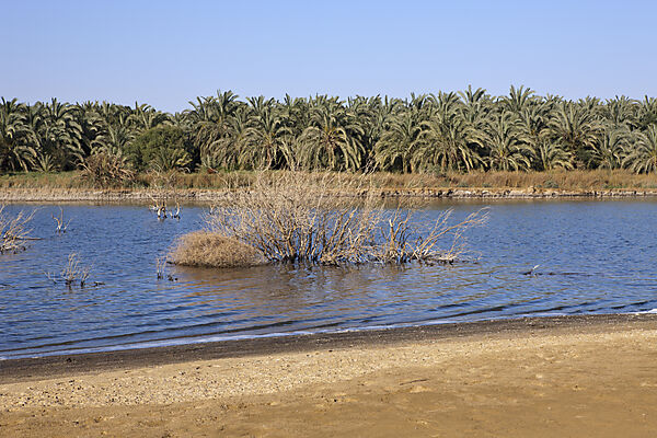 See in Bahariya Oase
