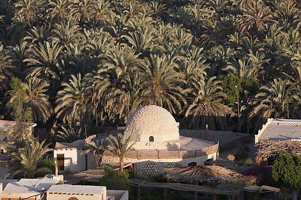 Blick auf Bahariya Oase