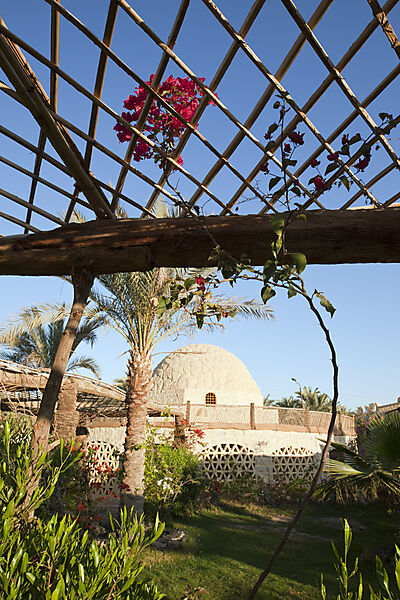 Qasr El Bawity Ecolodge Hotel in Bahariya Oasis