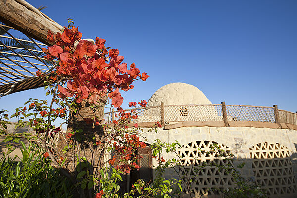 Qasr El Bawity Ecolodge Hotel in Bahariya Oasis