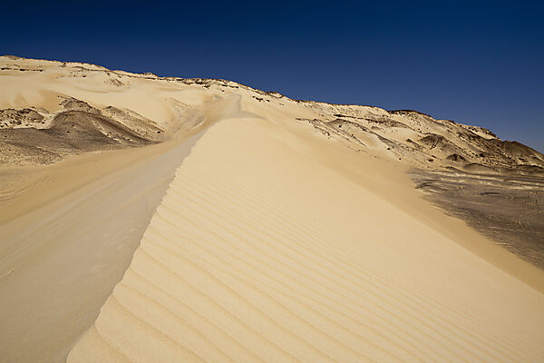 Sand Dune in Libyan Desert