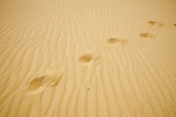 Sand Dune in Libyan Desert