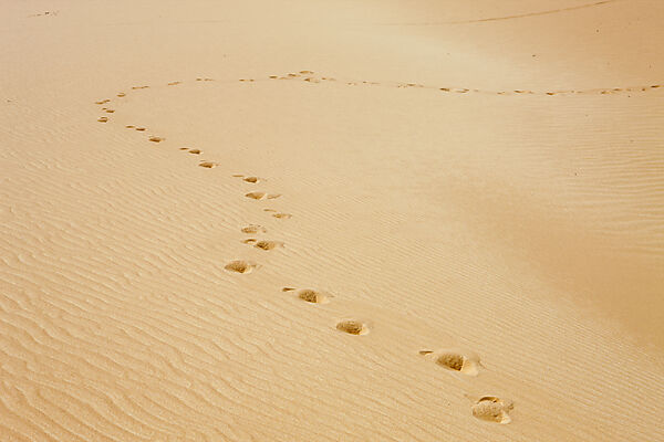 Sand Dune in Libyan Desert