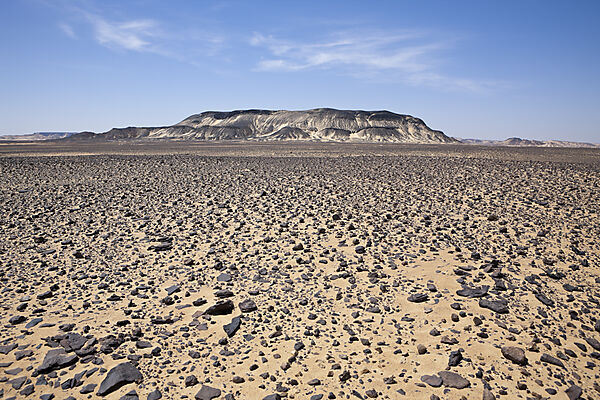 Black Desert