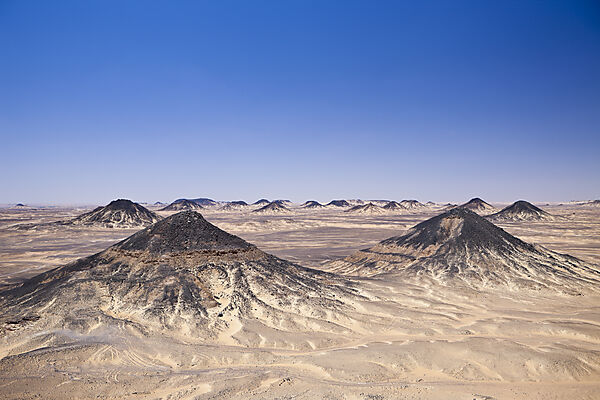 Black Desert