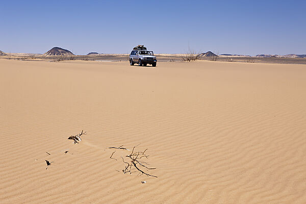 Desert near Bahariya Oasis